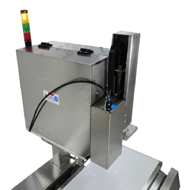 Dynamic Check Weigher Automatic Weighing Price Labeling Machine for Box
