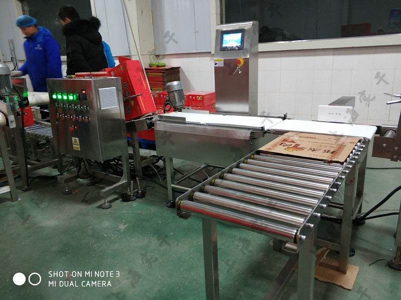Large Carton Box Checkweigher