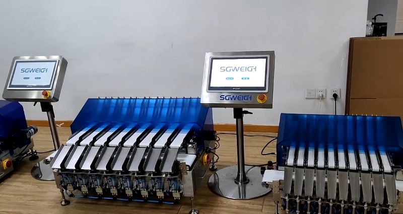 Multi-Conveyor Line Weight Checker