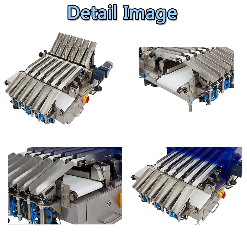100% In Line Weight Control Dynamic Multi-Column Check Weigher