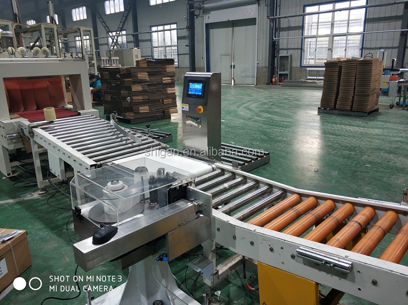 Dynamic Check Weigher Automatic Weighing Price Labeling Machine for Box