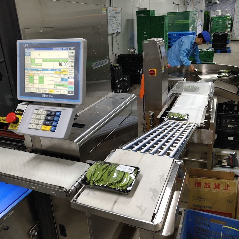 Conveyor Checkweigher