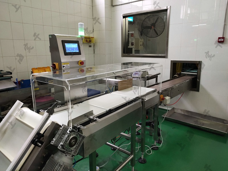 High-Precise Check Weighing System Automatic Checkweigher for up to 3kg