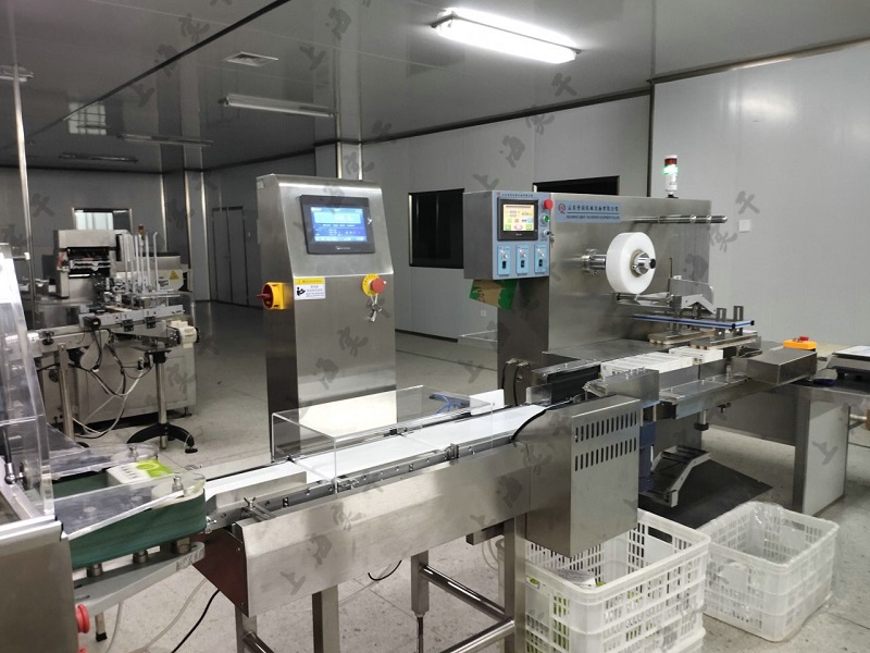 High-Precise Check Weighing System Automatic Checkweigher for up to 3kg