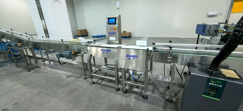 Automatic Weight Checking Machine